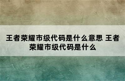 王者荣耀市级代码是什么意思 王者荣耀市级代码是什么